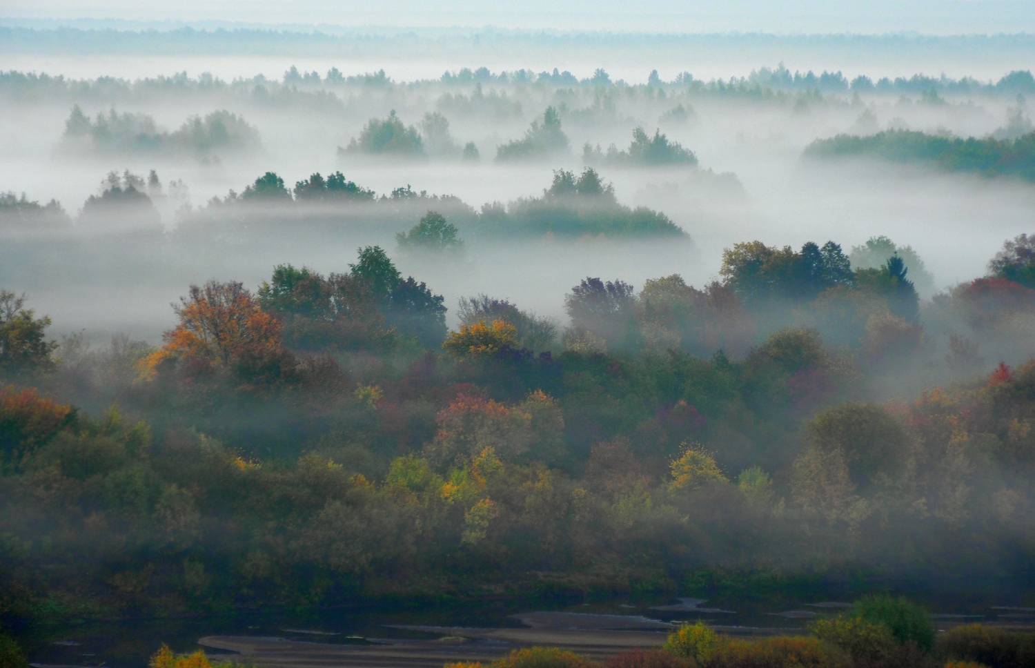 туман, PERESHEIN ANDREY