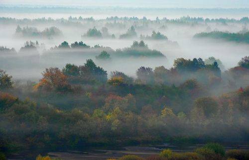 Туманная пора