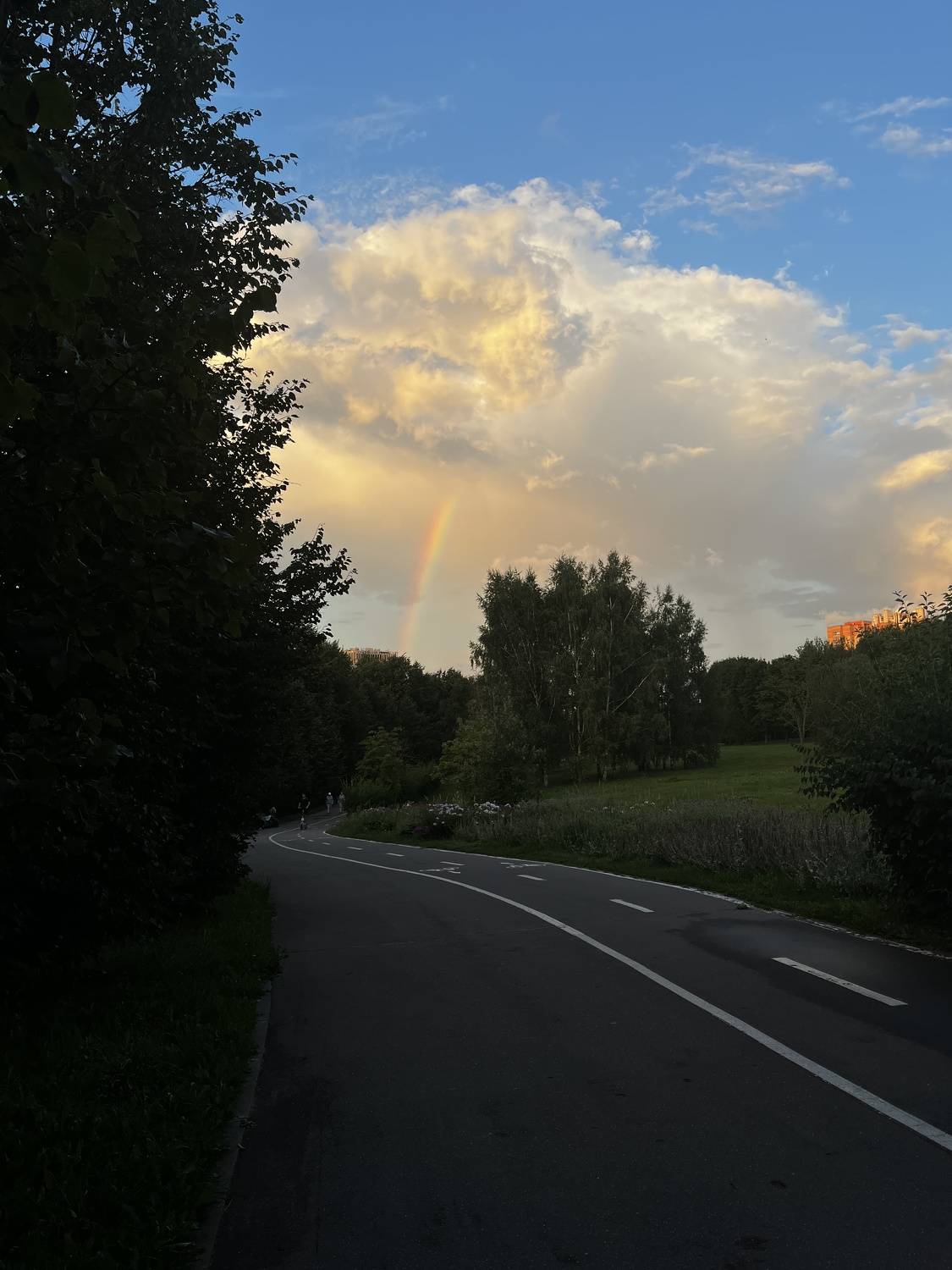 , Бравичева Анастасия