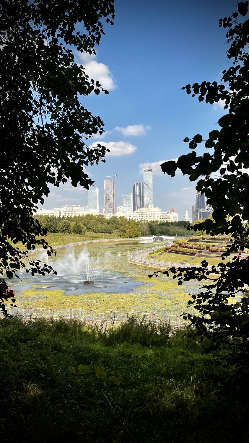 , Бравичева Анастасия