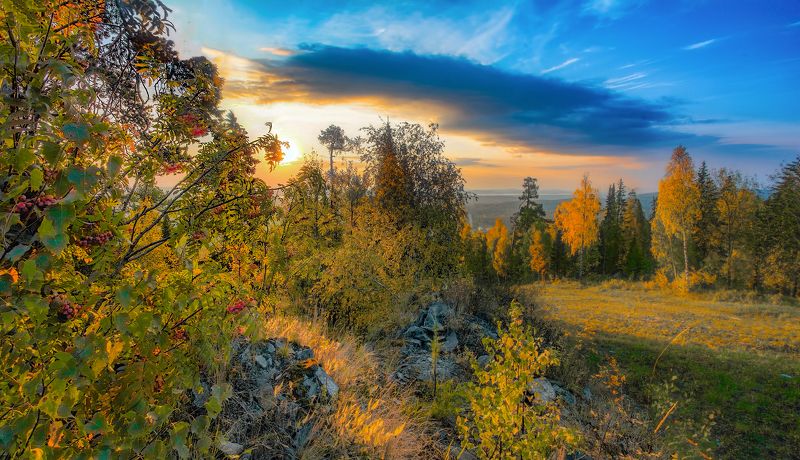 В осеннем лесу фото превью