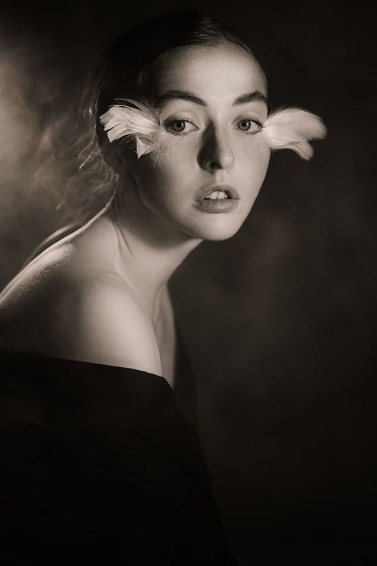 Bird of paradise фото превью