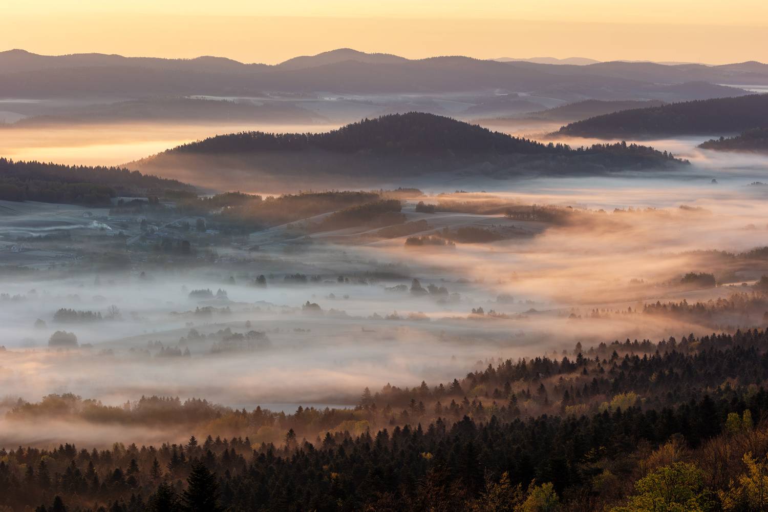 ,  Mirosław Pruchnicki