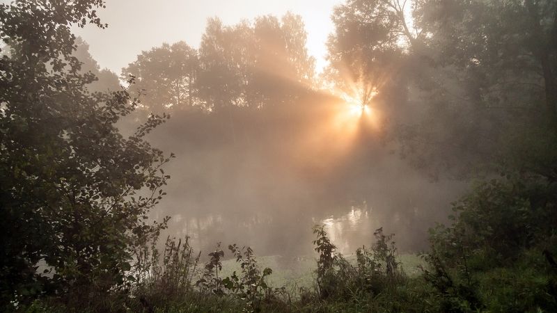 Ранним утром у реки фото превью