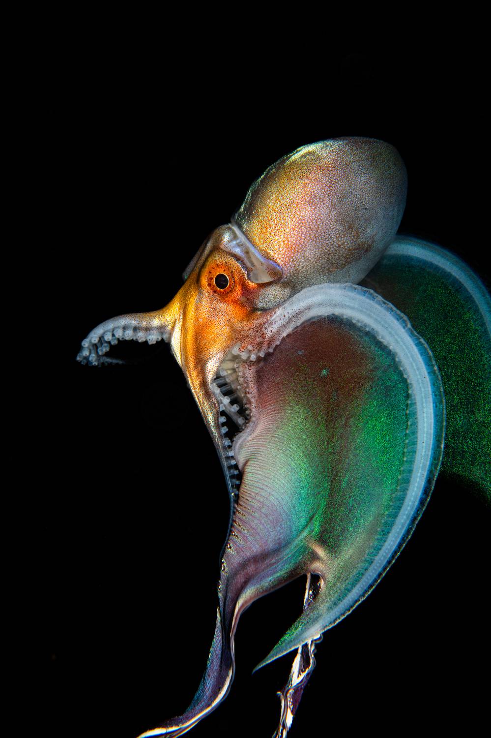 #mluwphotography , M&aacute;rquez Magali