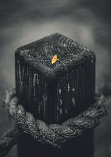 Чешуя нарастающей осени.