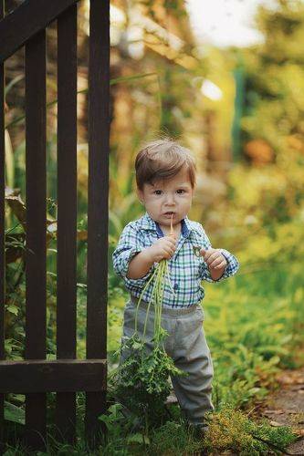 Мини фермер