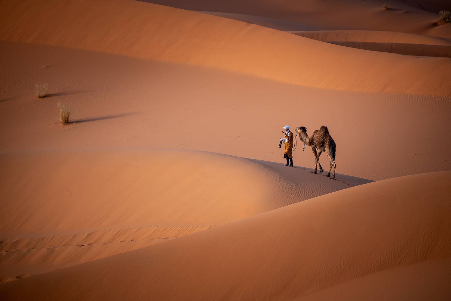 , Тодор Божков