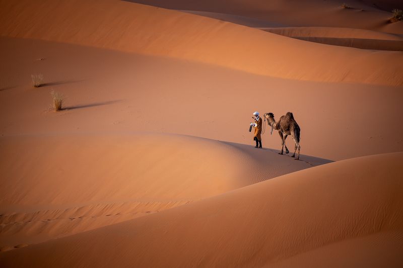 Alone фото превью
