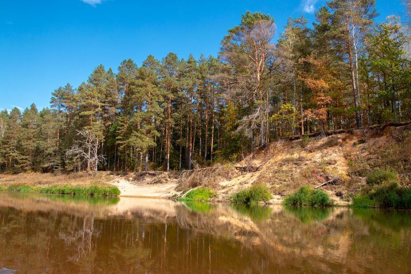 Песчаный берег средней полосы фото превью
