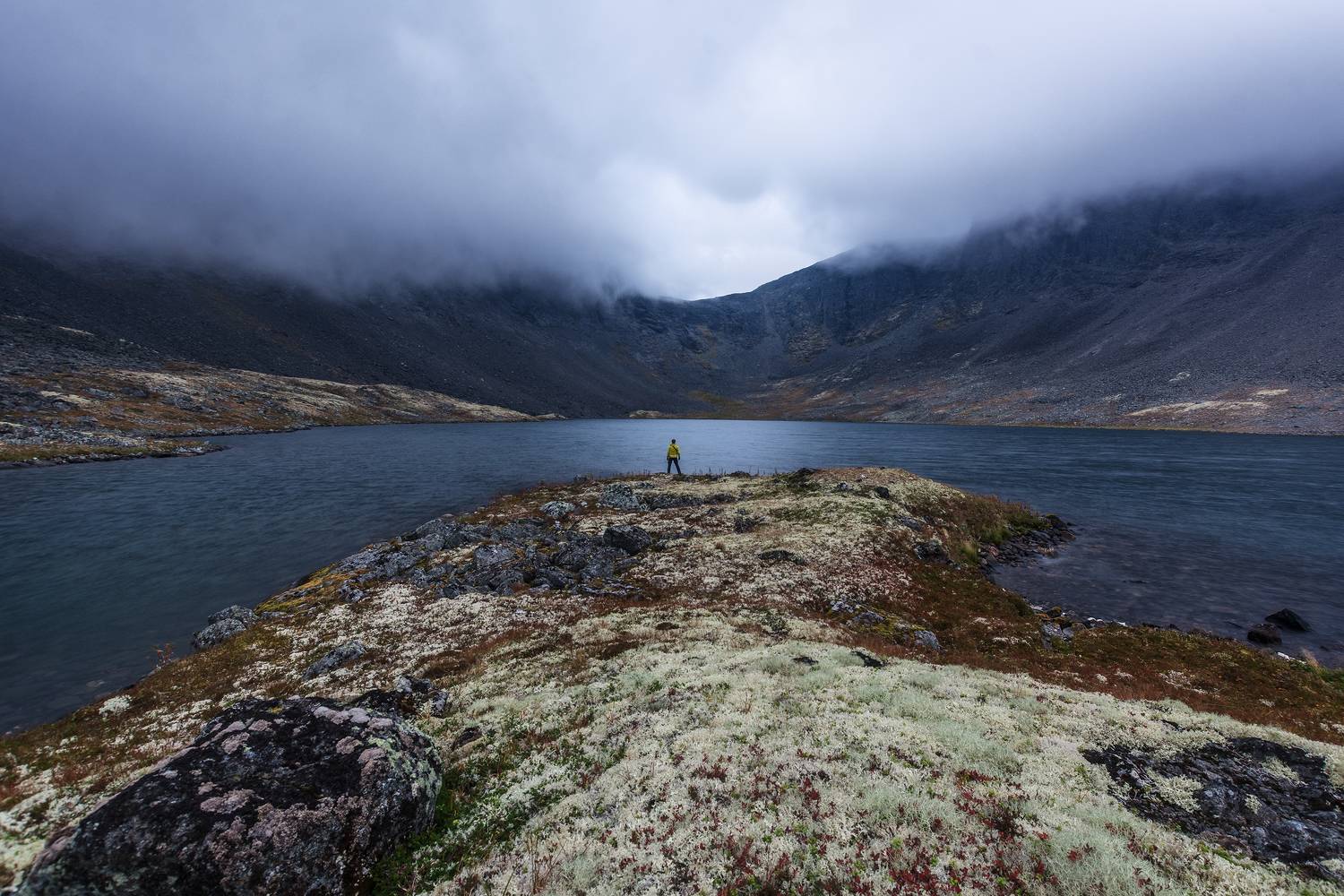 , Ян Сурогин