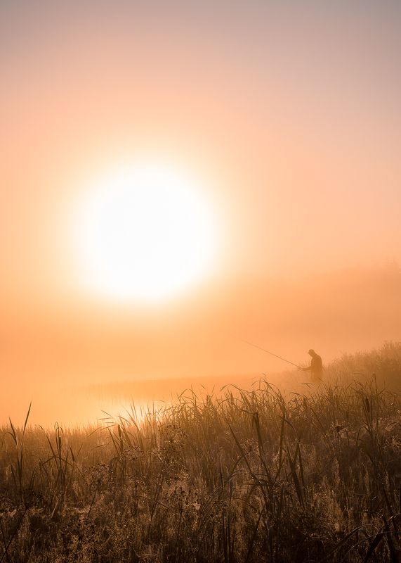 Утро фото превью
