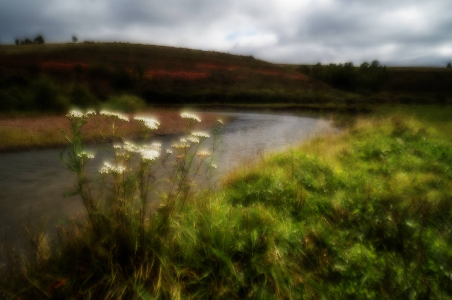 , Тришин Виктор