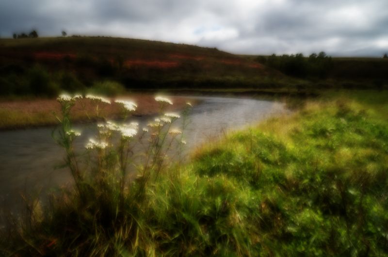 Зелёный берег у Красной Сопки. фото превью