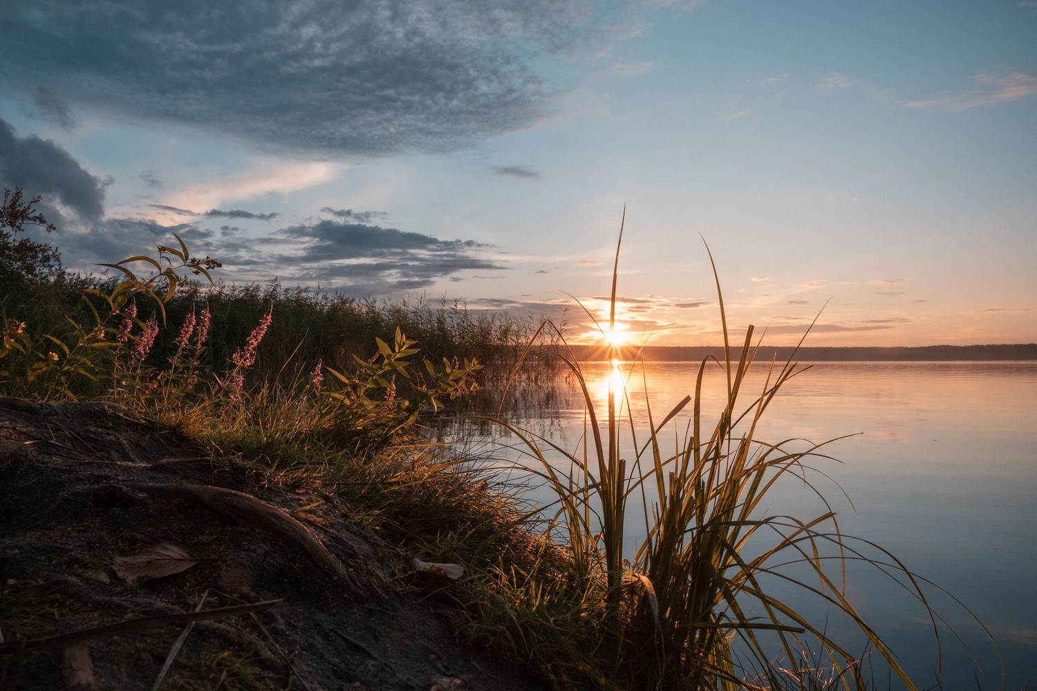 nature, landscapy, sunset, природа, пейзаж, закат, Наталья Деменкова