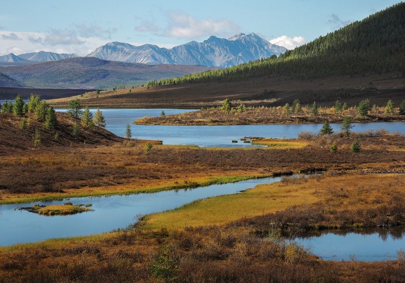 У озера Ильчир фото превью