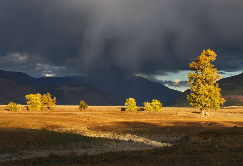 Алтай, Республика Алтай, Сибирь Вирга фото превью