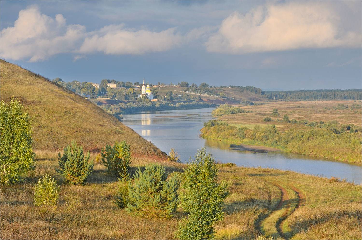 , Анатолий Гулин