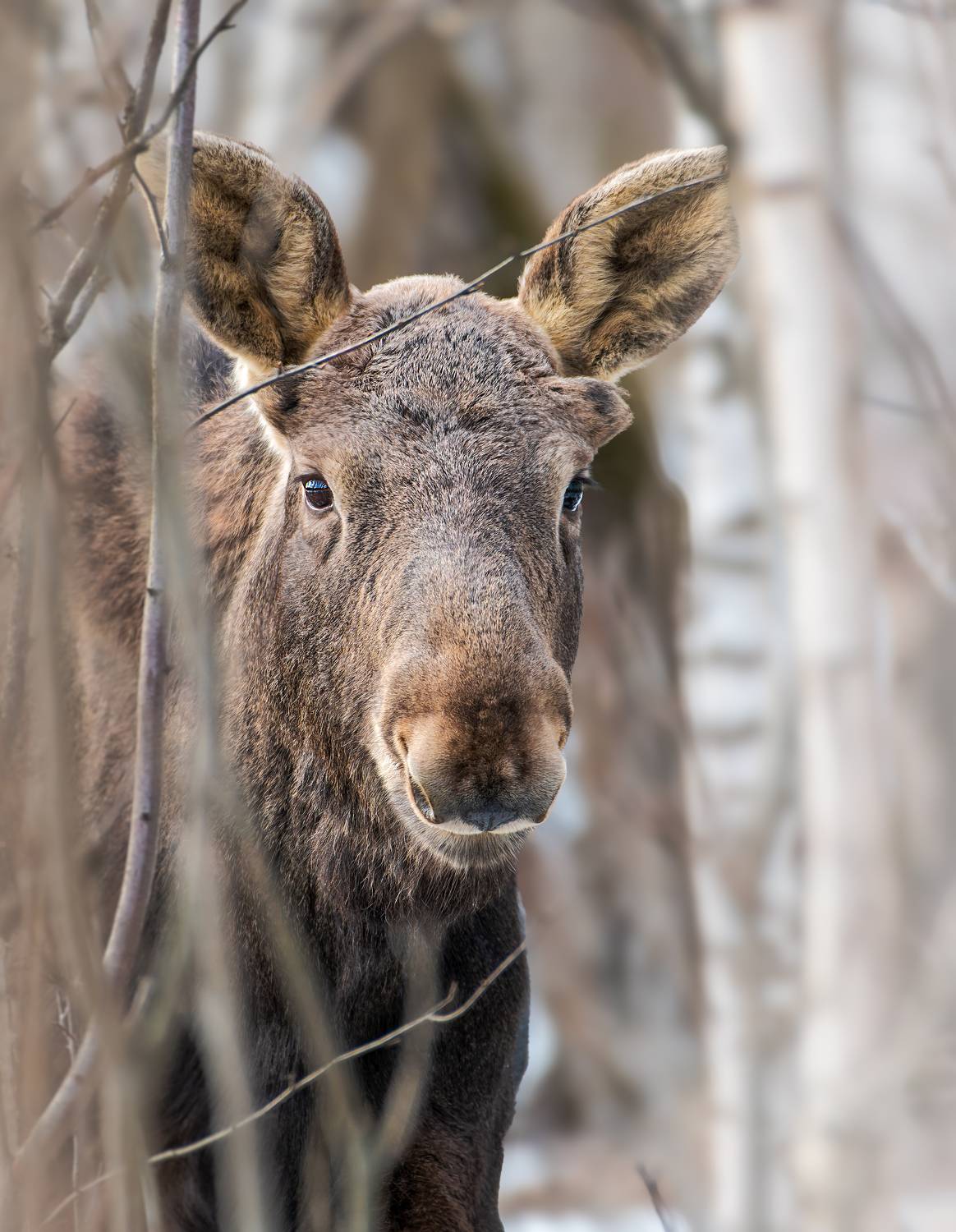 , Фото Александр