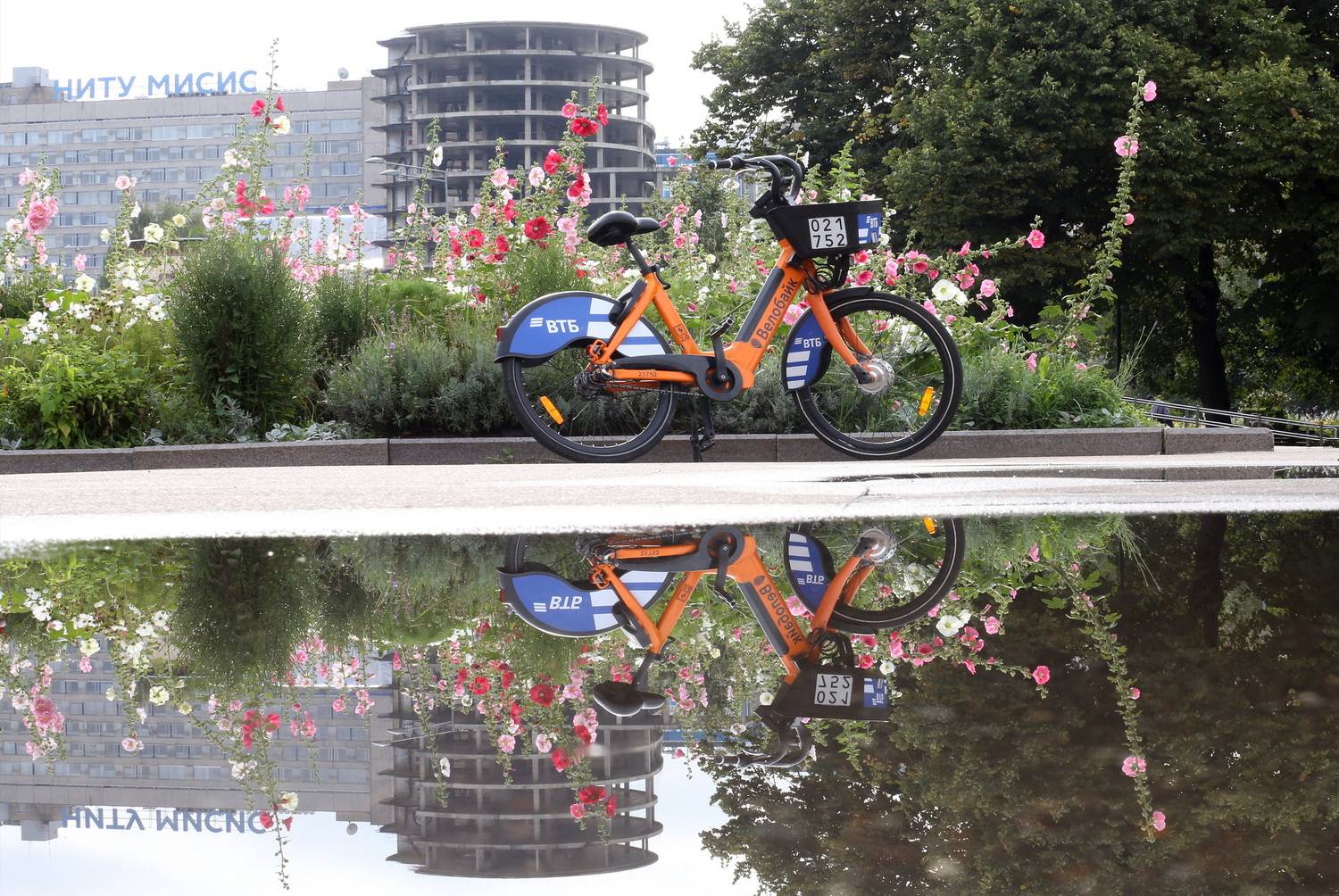 , Бибичков Михаил