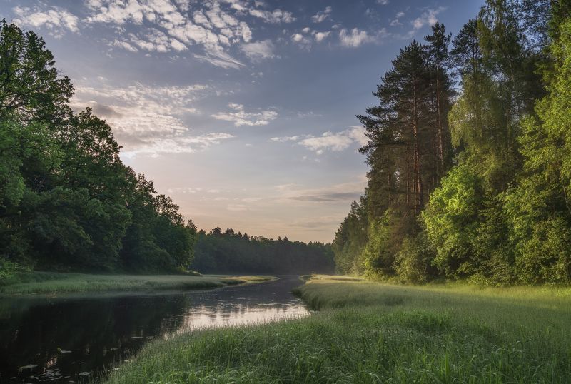 лето утро река Керженец фото превью