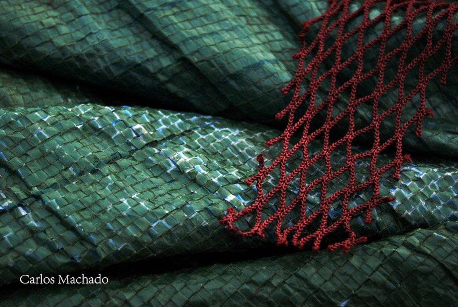 macro, urban, still life, Carlos Machado