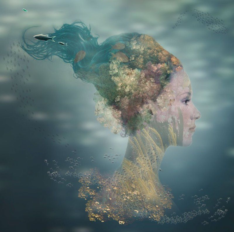 Metamorphosis фото превью