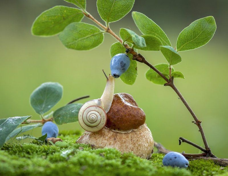 Дело было в Эдеме ... фото превью