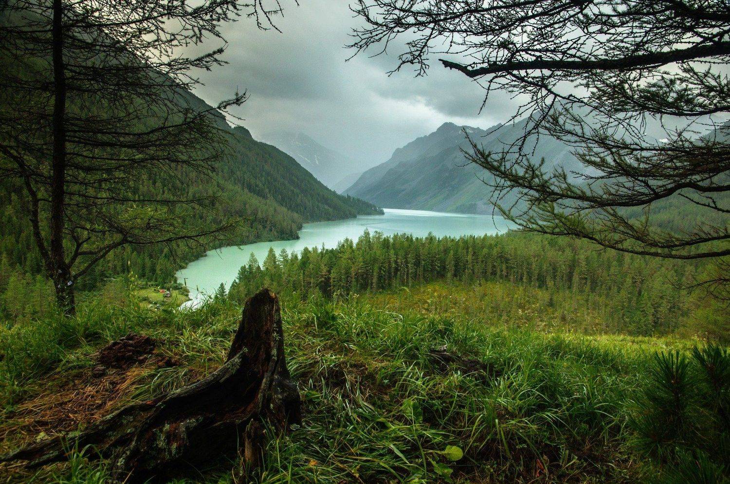 , Алексей Кретов