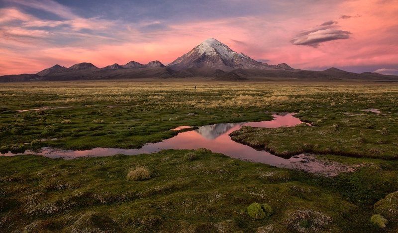 bolivia, sajama, альтиплано, боливия, сахама, mc про воспоминания.. фото превью