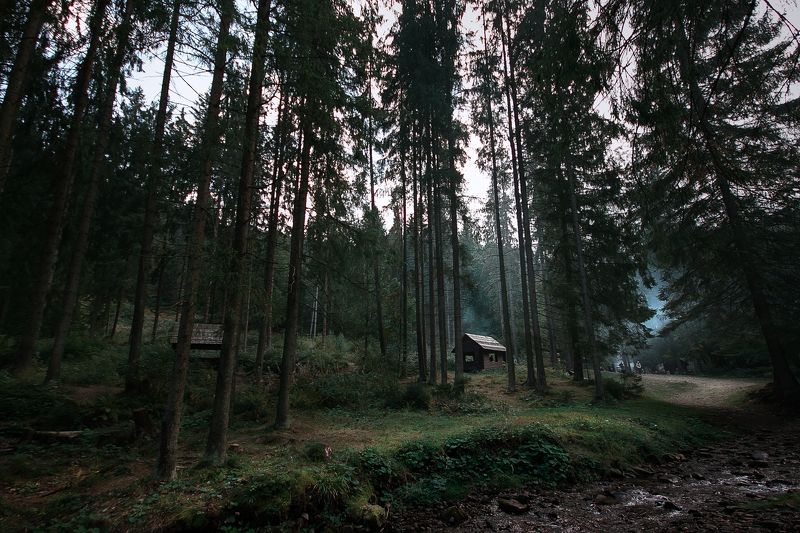 Портфолио фото превью