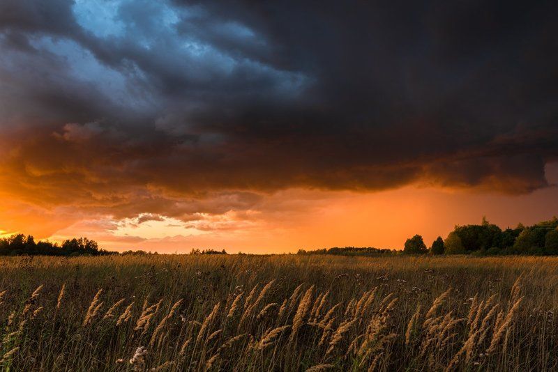 Полыхало... фото превью