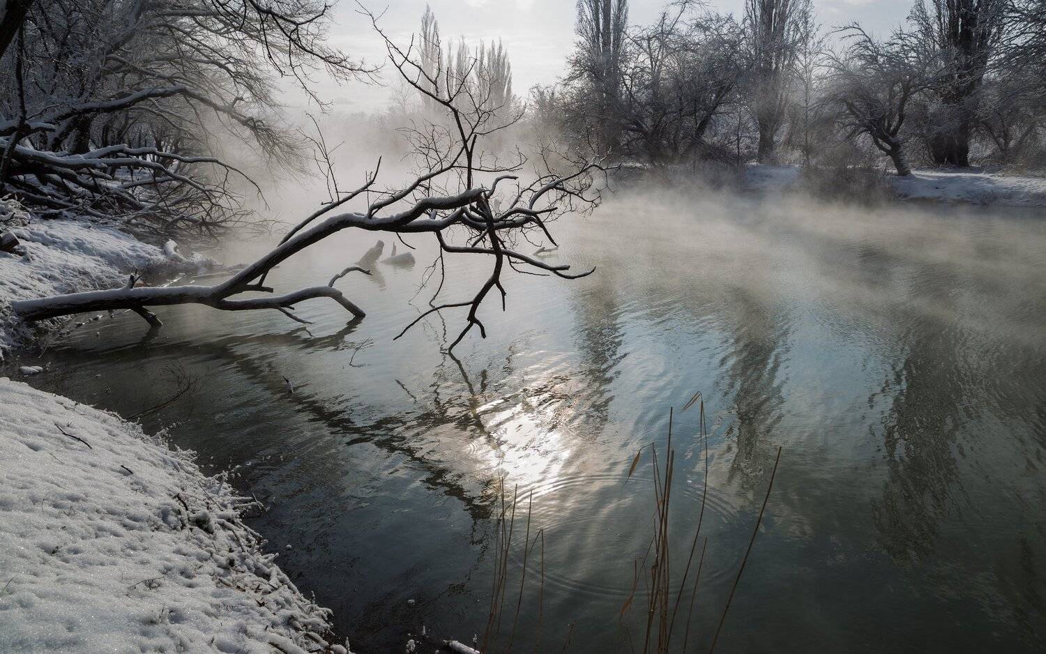 , Алексей Рыльский