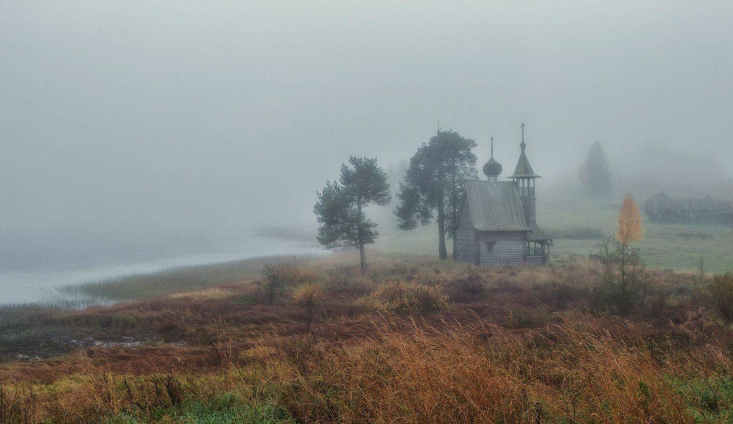 , Владимир Липецких