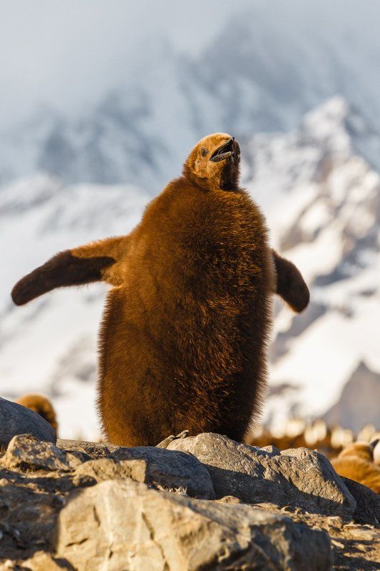 I Believe I Can Fly фото превью