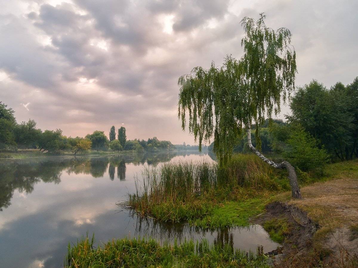 , Марина Брыдня