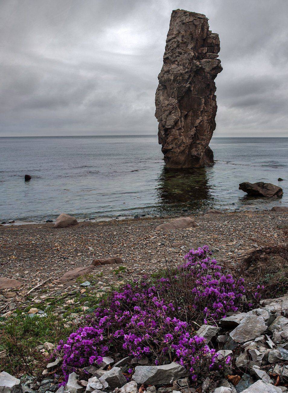 , Виктор Белименко