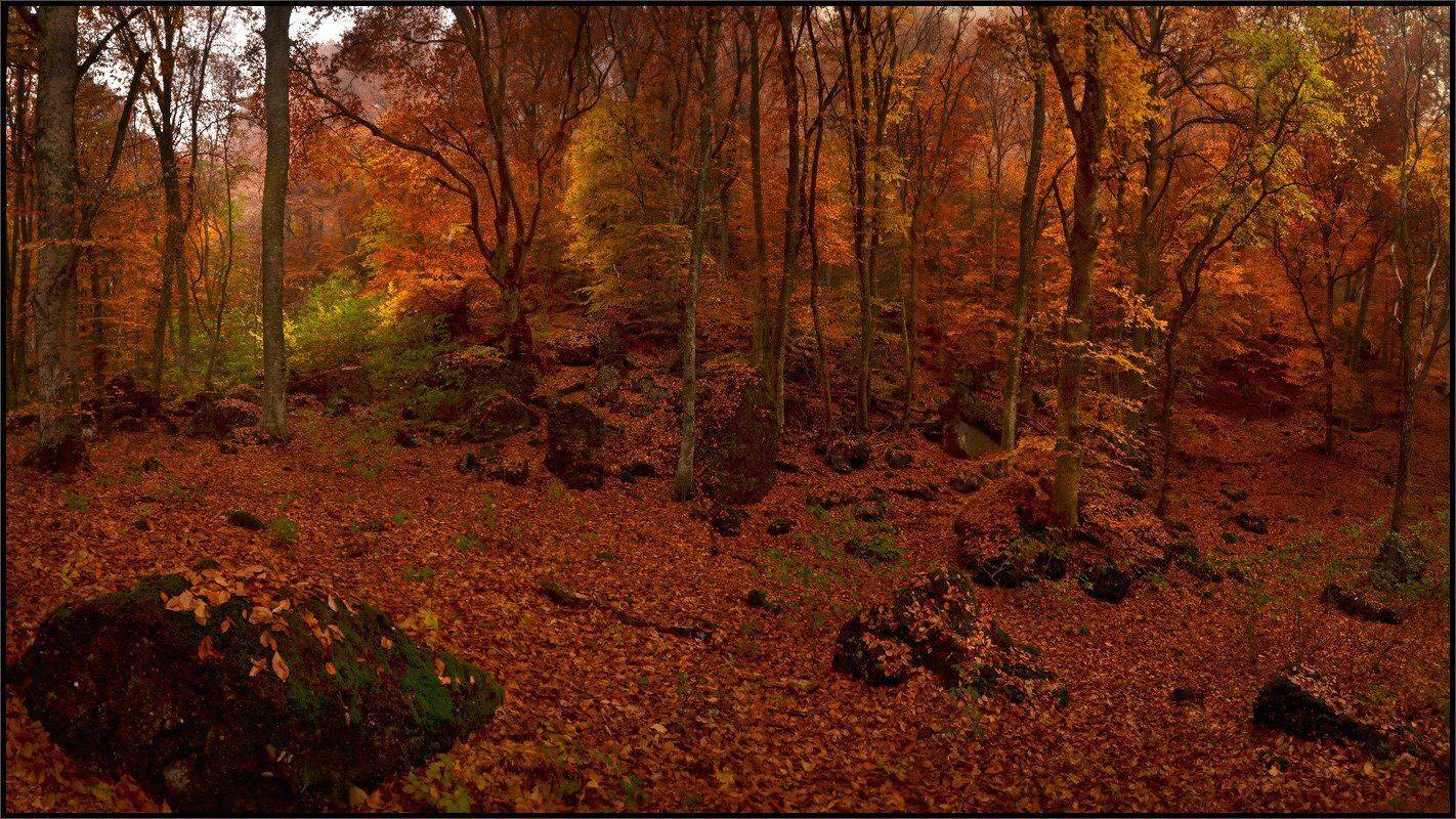 , Владимир Метцгер