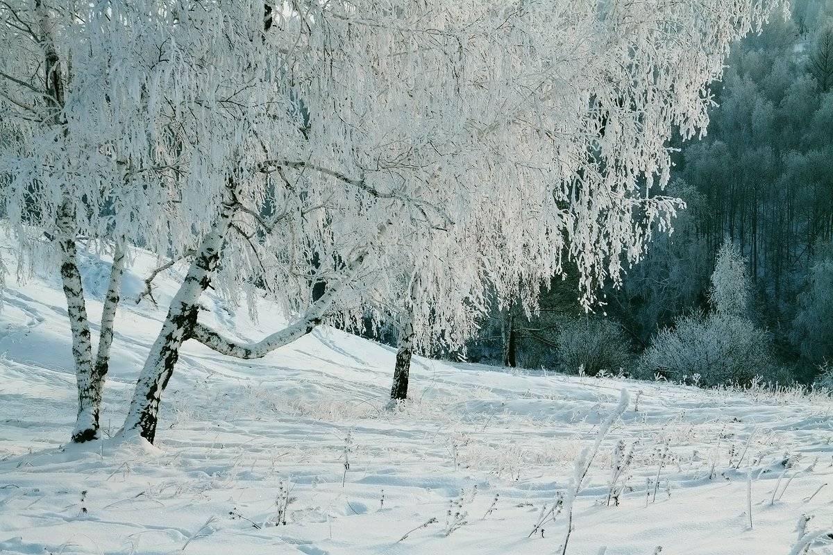 , Николай Морский