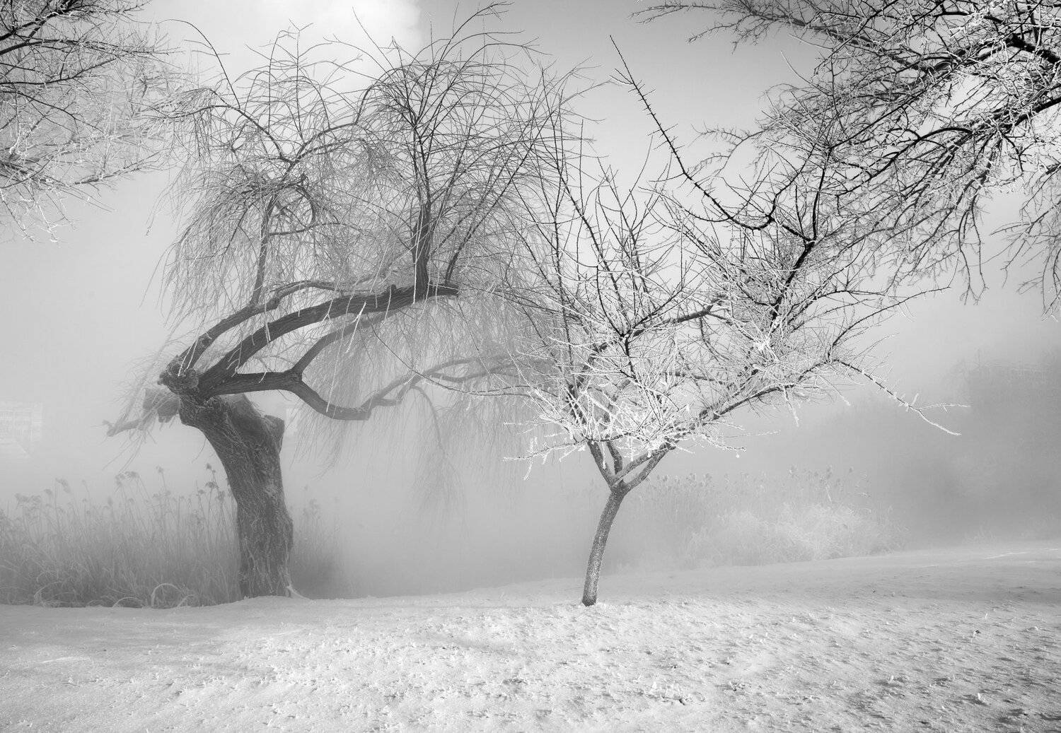 , Алексей Рыльский