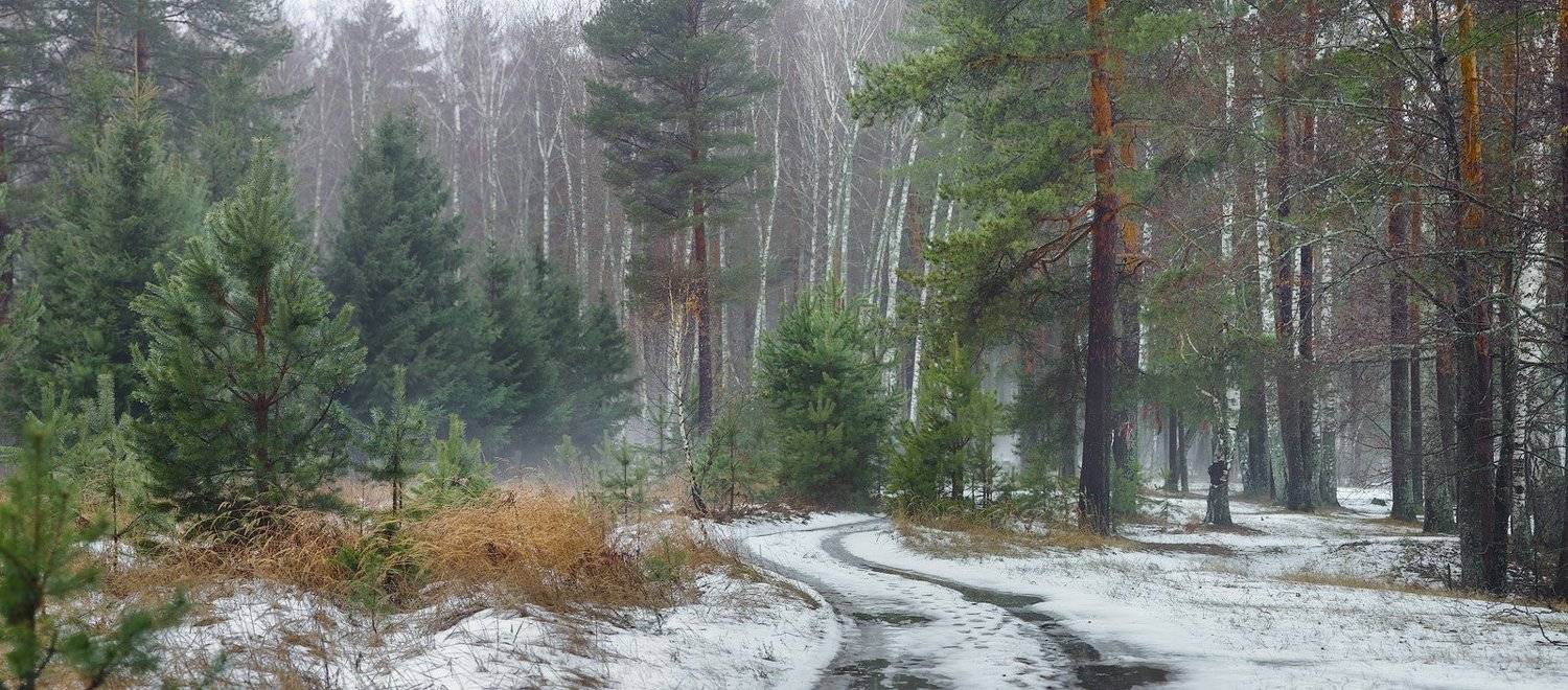 , Дмитрий Алексеев