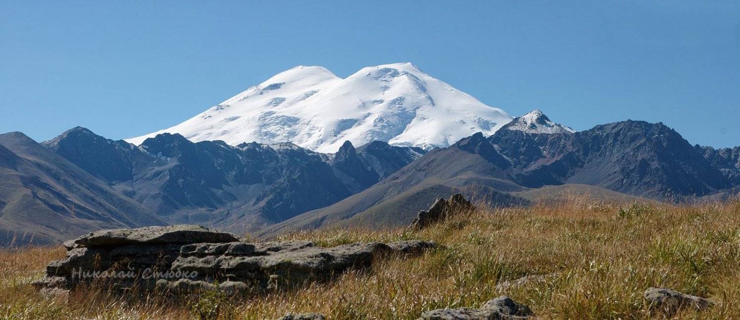 , Николай Стюбко