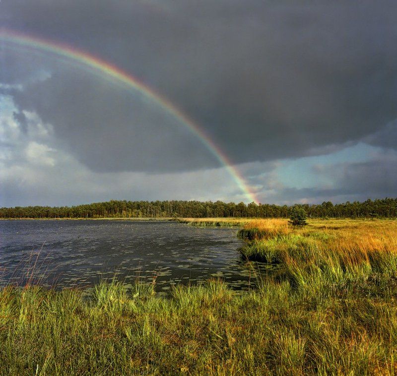 полистово, полистовский, заповедник Полистовские урочища фото превью