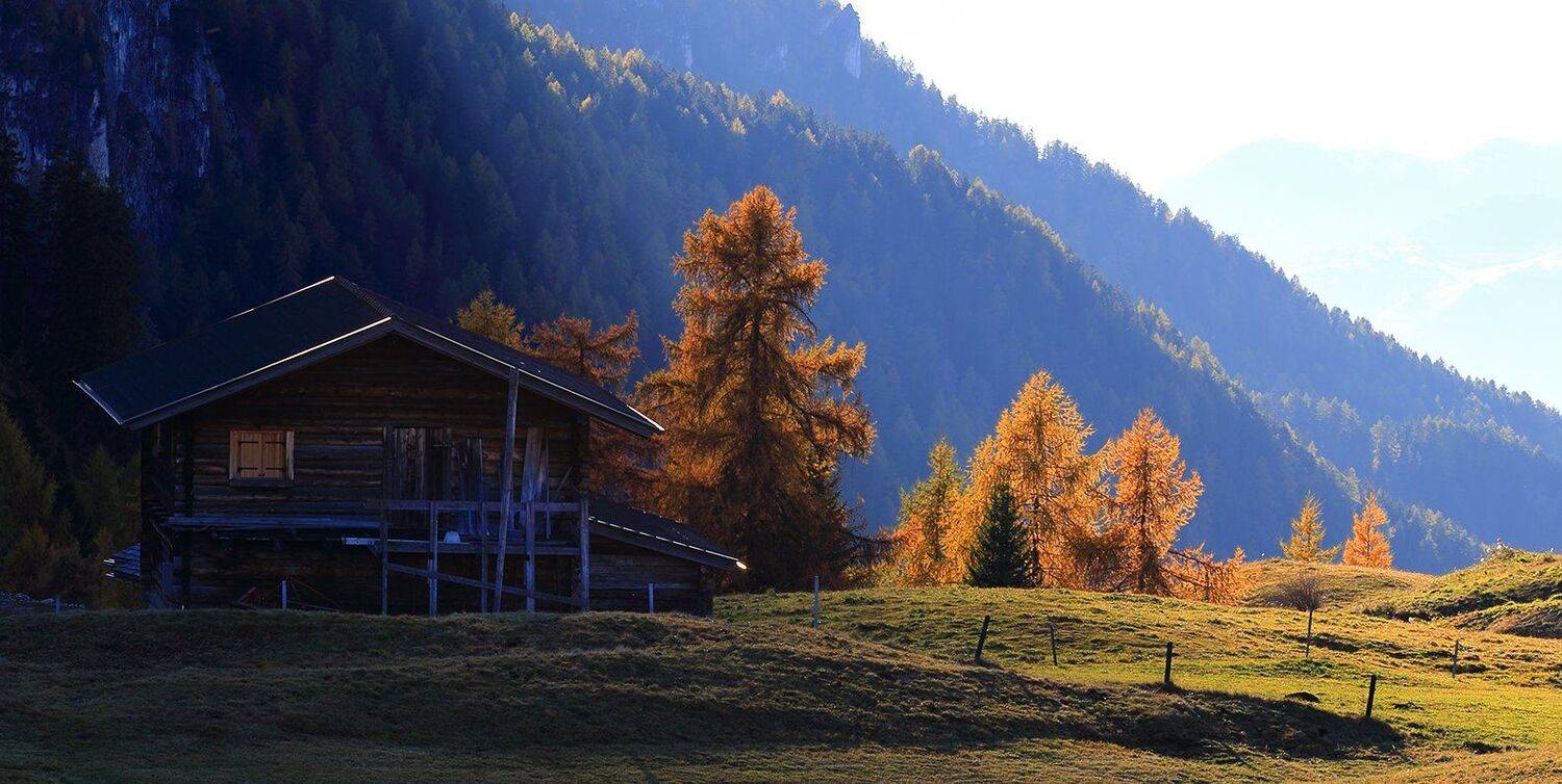 , Игорь Дубровский