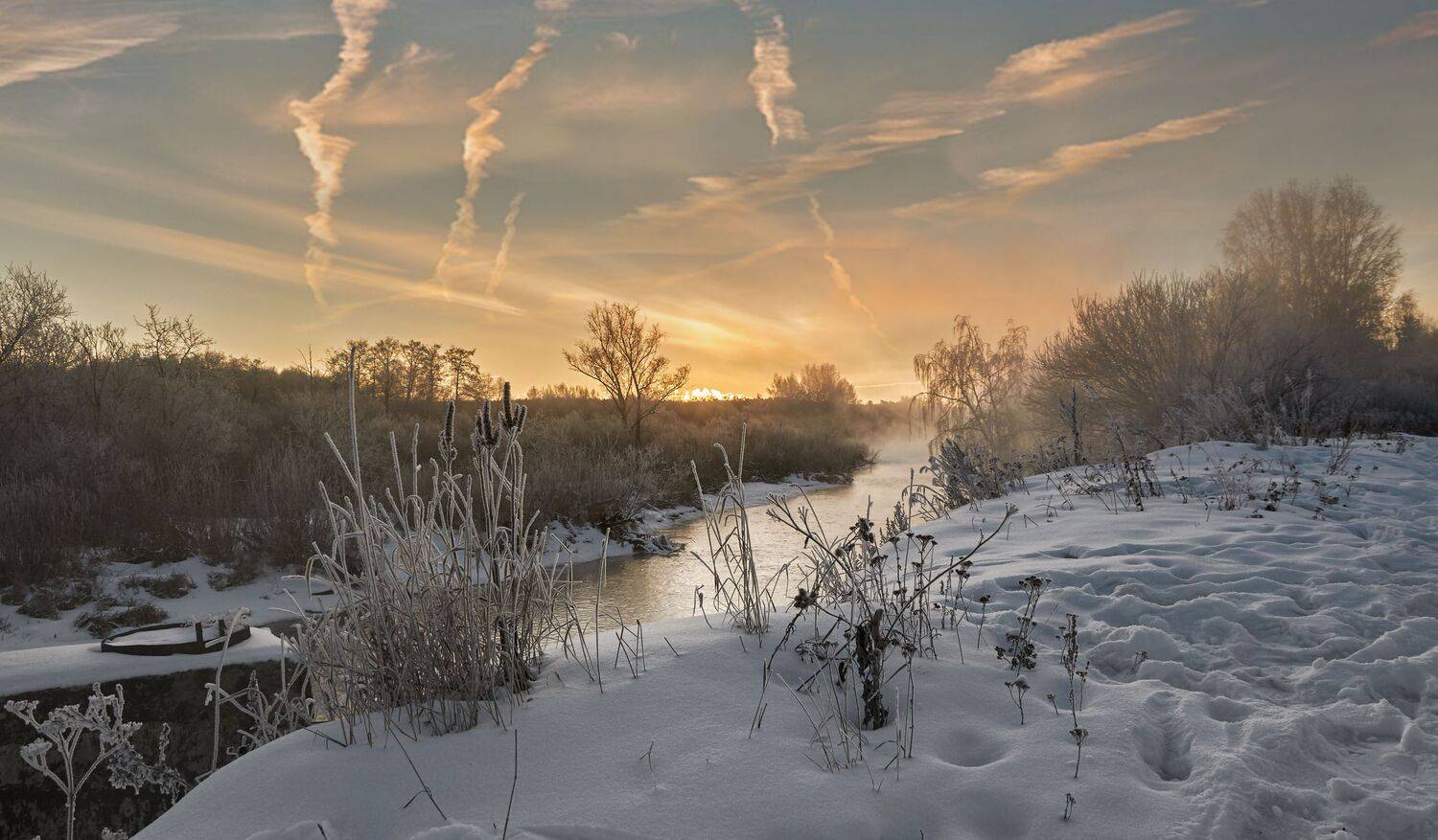 , Олег Богданов