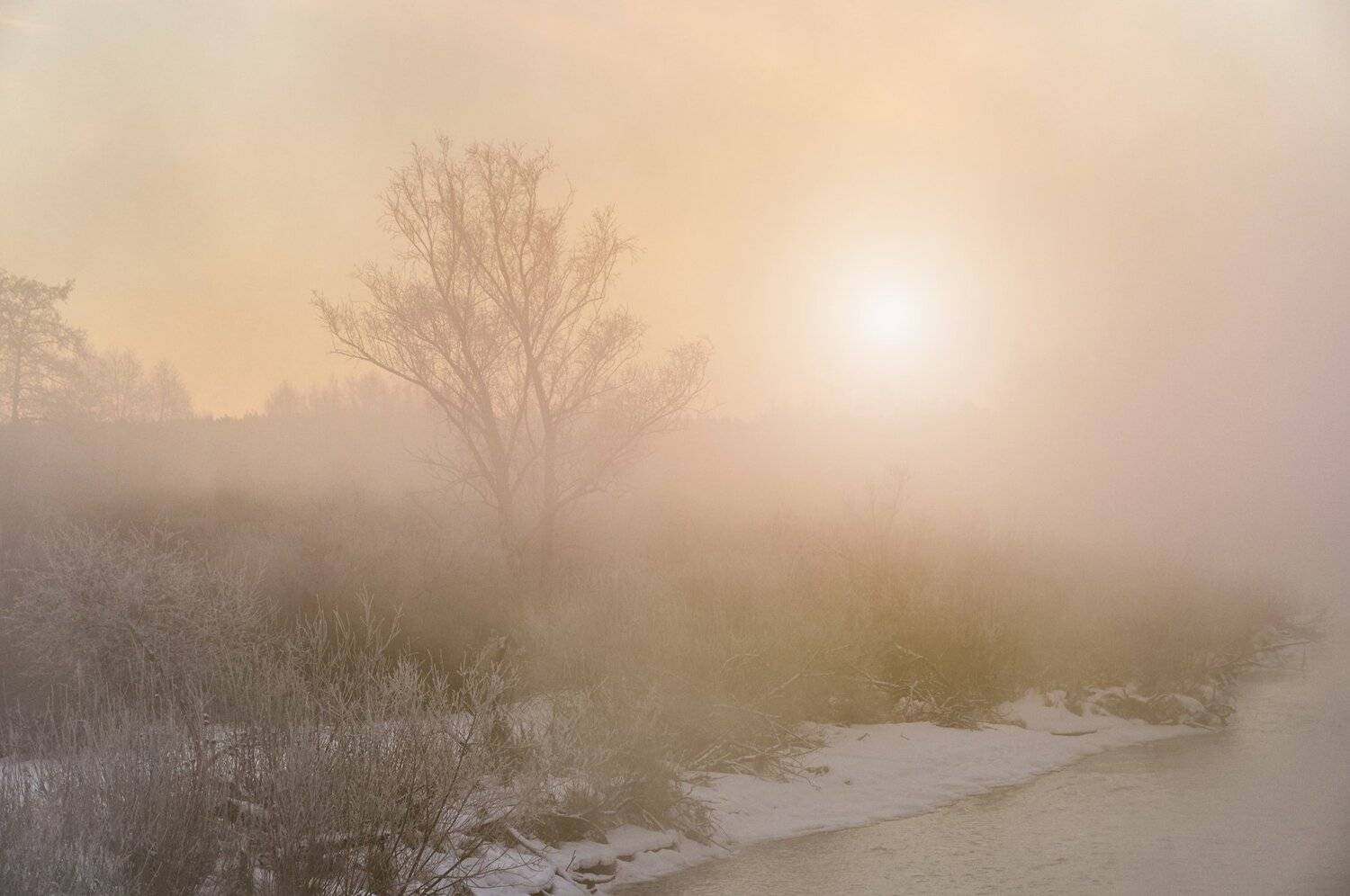 , Олег Богданов