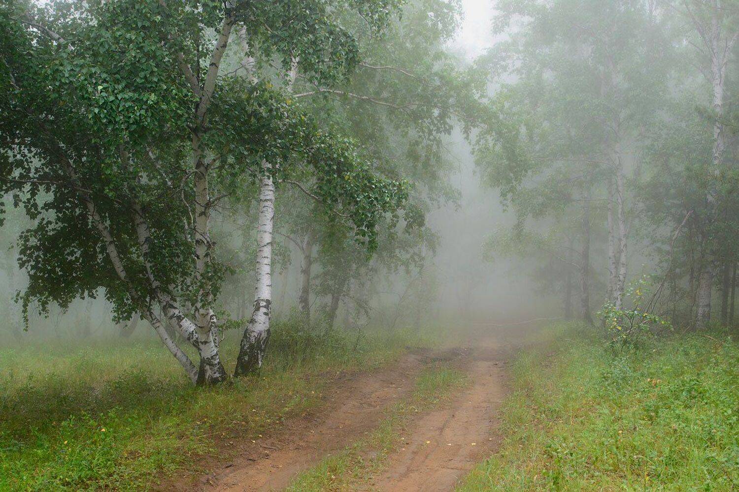, Сергей Брагин