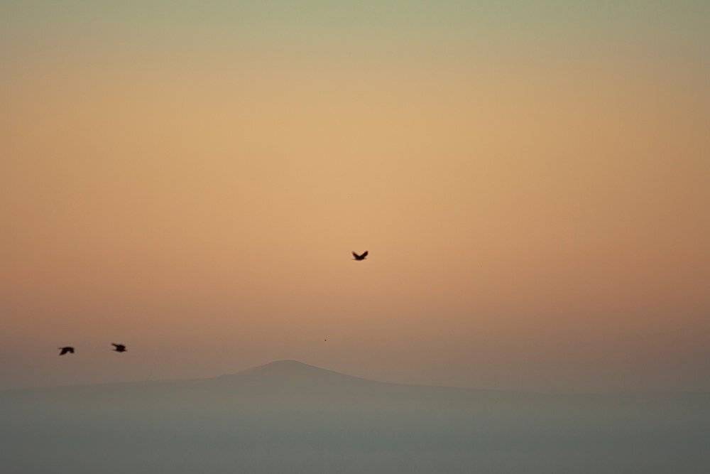 , Александр