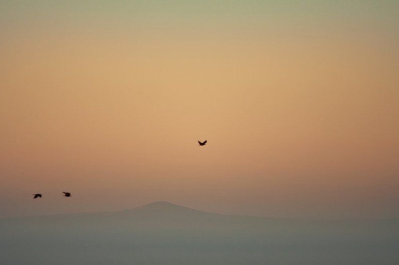 Вид из окна фото превью