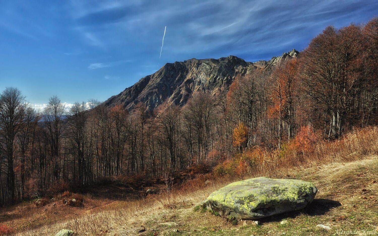 , Александр Круль